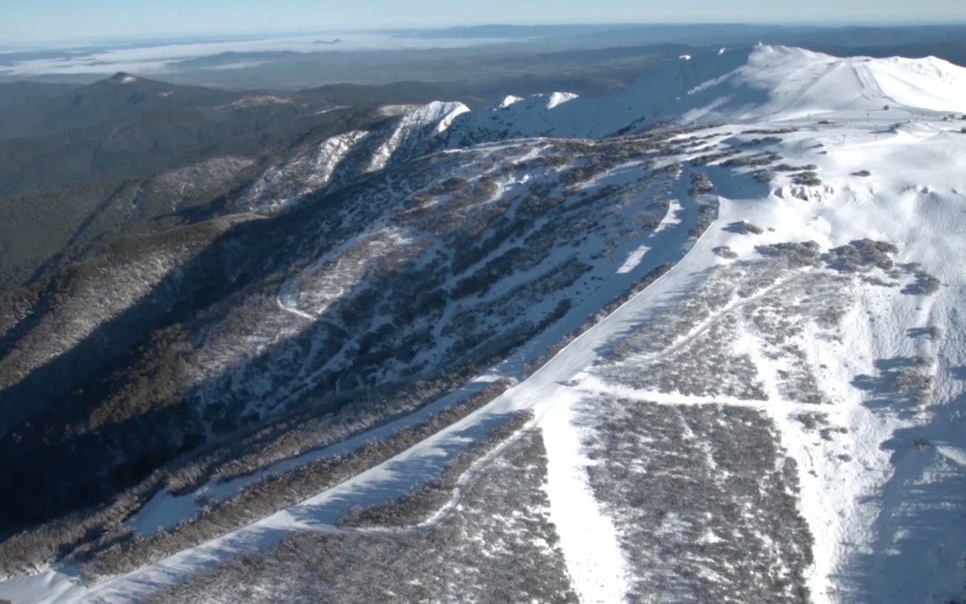 Mt Buller Snow Tour