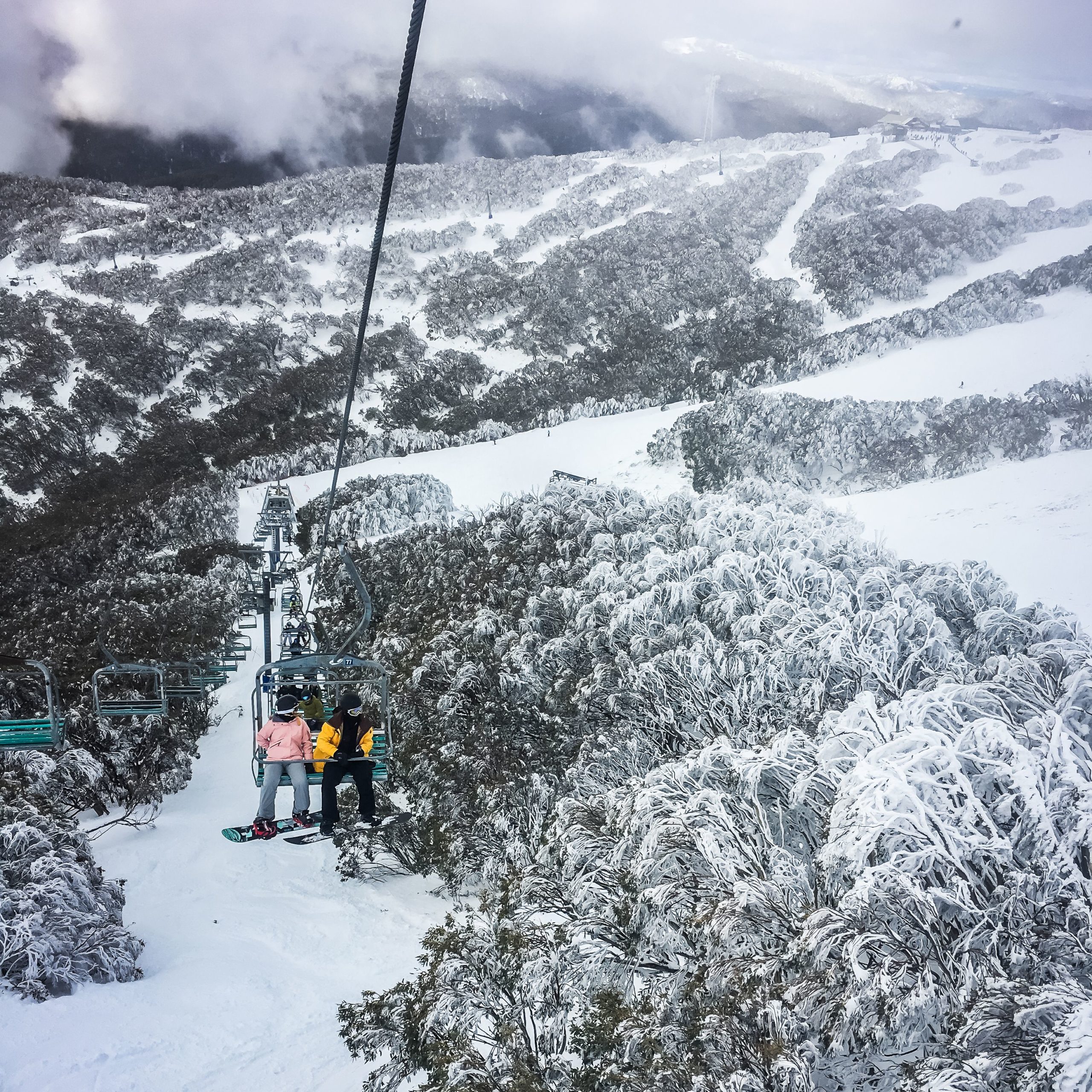 mt buller snow tour